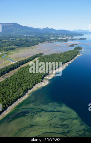 Willy Island, Halalt Island Indian Reserve, Chemainus River Estuary, Chemainus Valley, British Columbia, Kanada. Stockfoto