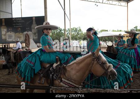 Die Escaramuzas zeigen ihre bemerkenswerten Sidesaddle-Fähigkeiten und ihre traditionelle Kleidung im Campeonato Millonario Lienzo de Charro in Jalisco, Mexiko Stockfoto