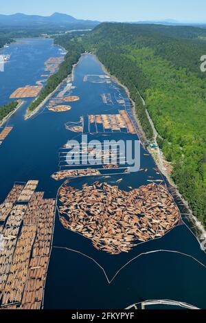 Holzbooms, die im Ladysmith Harbour für Western Forest Products, British Columbia, Kanada, verlost wurden. Stockfoto