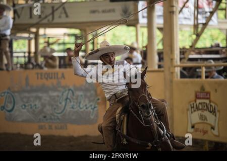 Ein charro zeigt sein Können beim aufregenden Bocking-Horse-Event beim Charreada-Wettbewerb in Tlajomulco de Zuniga, Jalisco, Mexiko. Stockfoto