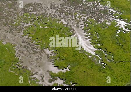 Luftaufnahme der Flussmündung des Chemainus, Chemainus Valley, Vancouver Island, British Columbia, Kanada. Stockfoto