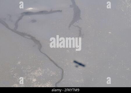 Luftaufnahme der Flussmündung des Chemainus, Chemainus Valley, Vancouver Island, British Columbia, Kanada. Stockfoto