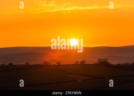 Sonnenuntergang über Totnes Fields, Berry Pomeroy Village, Devon, England, Europa Stockfoto