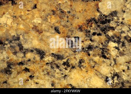 Goldener Marmor mit kleinen schwarzen Flecken, Nahaufnahme einer flach polierten Natursteinoberfläche. Hintergrund, Muster, Textur. Stockfoto