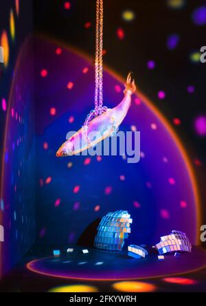 Fisch mit glänzenden Schuppen anstelle einer zerbrochenen Disco-Kugel, roch in der Feier Stillleben, Party-Konzept Stockfoto