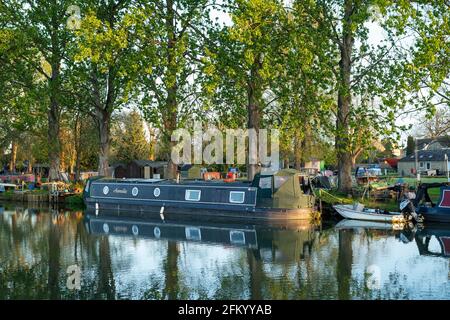 Im Frühling vertäuten die Narrowboote auf der themse neben dem Yachthafen Lechlade bei Sonnenaufgang. Lechlade on Thames, Cotswolds, Gloucestershire, England Stockfoto