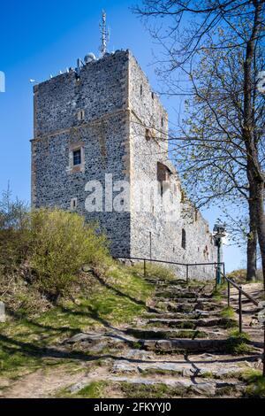 Gotiky hrad Radyne, Stary Plzenec, Plzensky kraj, Ceska republika / gotische königliche Burg Radyne, Stary plzenec, Region Pilsen, Tschechische republik Stockfoto