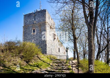 Gotiky hrad Radyne, Stary Plzenec, Plzensky kraj, Ceska republika / gotische königliche Burg Radyne, Stary plzenec, Region Pilsen, Tschechische republik Stockfoto