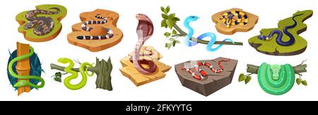 Cartoon-Schlangenart Cobra Ophiophagus hannah, California Mountain Kingsnake Lampropeltis zonata, Trimeresurus salazar, grüner Baum oder Kugelpython, Komodo-Baumviper Trimeresurus insularis Vektor-Set Stock Vektor