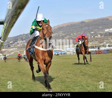 2010 CHELTENHAM FESTIVAL. TAG 16/3/10. DIE HÜRDE DES SMURFIT-CHAMPIONS. SIEGER TONY MCCOY AM FERNGLAS IM ZIEL. BILD DAVID ASHDOWN Stockfoto