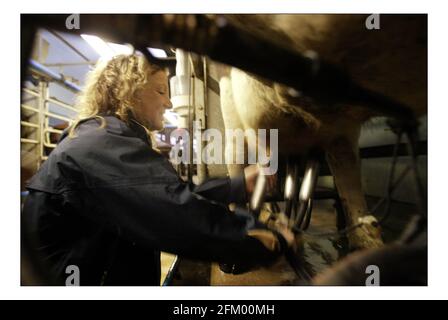 Deborah Ross verbringt den Tag damit, auf der Farm des Prinzen von Wales zu arbeiten: Duchy Home Farm, Broadfield Farm, Tetbury.pic David Sandison 11/10/2005 Stockfoto