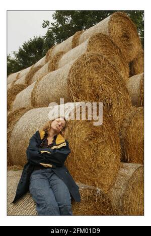 Deborah Ross verbringt den Tag damit, auf der Farm des Prinzen von Wales zu arbeiten: Duchy Home Farm, Broadfield Farm, Tetbury.pic David Sandison 11/10/2005 Stockfoto