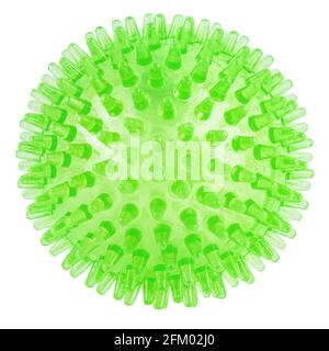 Durchsichtige grüne Kugel aus Kunststoff, isoliert auf weißem Hintergrund - Massagegerät, Hundespielzeug und COVID-19 Coronavirus-Symbol und -Modell Stockfoto