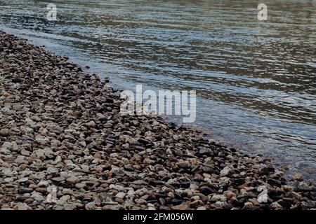 Steinufer am Fluss Stockfoto