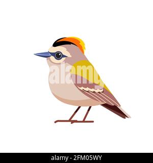 Goldwappen ist ein sehr kleiner Singvögel in der Königsfamilie. Tiny Bird Cartoon flachen Stil schönen Charakter der Ornithologie, Vektor-Illustration Stock Vektor