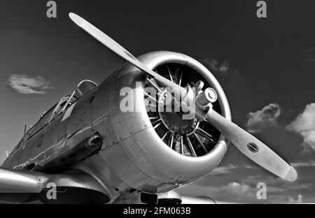 Nordamerikanische T6 Harvard-Flugzeuge aus nächster Nähe. Stockfoto