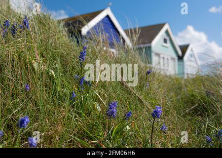 Strandhütten in Mudespit am Hengitsbury Head, Dorset Stockfoto