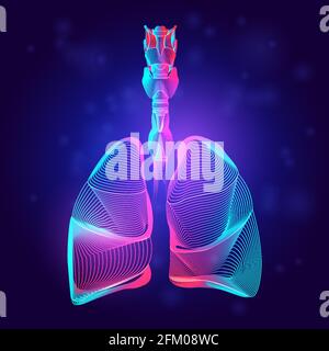 Medizinische Struktur der menschlichen Lunge. Skizzieren Vektor-Illustration der Körperteil Organ Anatomie in 3d-Linie Art-Stil auf Neon abstrakten Hintergrund Stock Vektor