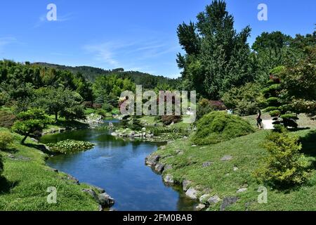 Japanischer Garten, Bambus, Blumen und Pflanzen in Bambouseraie d'Anduze, Gard, Südfrankreich Stockfoto