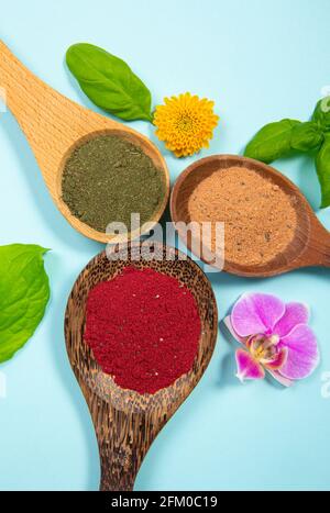 Flache Ansicht verschiedener Superfood-Pulver auf Löffel, verziert mit Blumenblüten und Blättern auf blauem Studiohintergrund. Leuchtendes, farbenfrohes Rot, Stockfoto