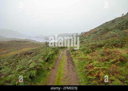 Leerer Wanderweg durch verregnete Herbstlandschaft im Norden West Highlands of Scotland Stockfoto