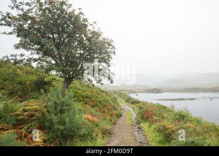 Leerer Wanderweg durch verregnete Herbstlandschaft im Norden West Highlands of Scotland Stockfoto