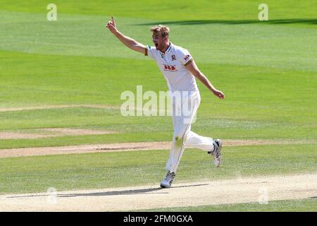 Paul Walter von Essex feiert die Einnahme des Wickels von Shivnarine Chanderpaul während Essex CCC gegen Lancashire CCC, Specsavers County Championship Divisi Stockfoto