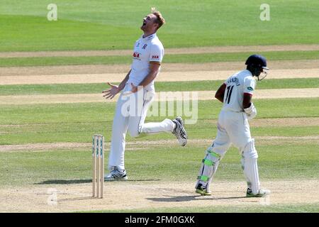 Paul Walter von Essex feiert die Einnahme des Wickels von Shivnarine Chanderpaul während Essex CCC gegen Lancashire CCC, Specsavers County Championship Divisi Stockfoto