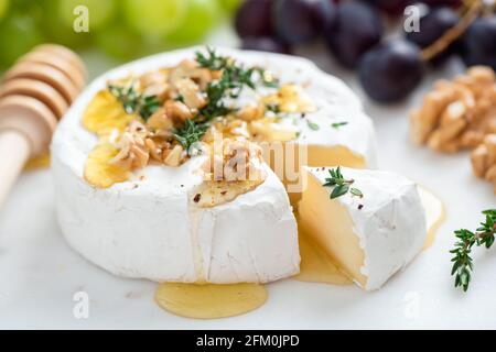 Camembert Käse mit Walnüssen und Honig auf weißem Käseplatte, Nahaufnahme. Gourmet-Weißkäse Stockfoto