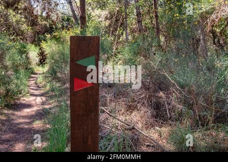 Holzschild mit roten und grünen Pfeilen auf einem Wanderweg im Wald - Dunas de São Jacinto, Aveiro, Portugal Stockfoto