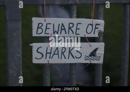 Passen Sie auf die Haie am Strand auf Stockfoto