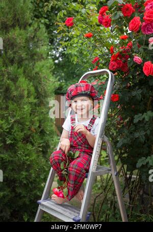 Porträt eines niedlichen fröhlichen lachenden Jungen im Alter von 4 - 5 Jahren in karierten Overalls und einer Baskenmütze auf dem Hintergrund eines Strauchs blühender roter Rosen. Mothers Da Stockfoto