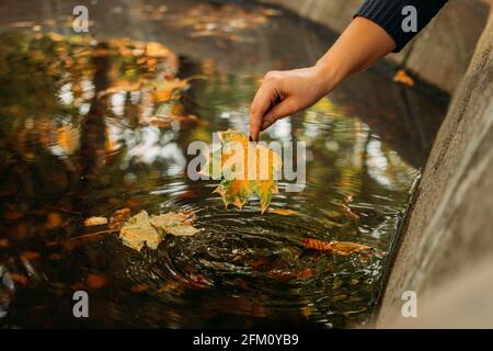 Herbsthintergrund, Herbst sein Kommen, Hallo Herbst, Dinge zu kommen, schöner Herbst. Weibliche Hand hält Ahorngelb Blatt auf dem Hintergrund Wasser in der Stockfoto