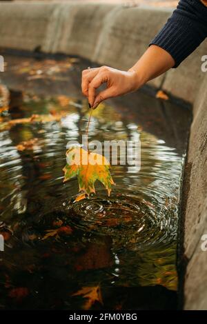 Herbsthintergrund, Herbst sein Kommen, Hallo Herbst, Dinge zu kommen, schöner Herbst. Weibliche Hand hält Ahorngelb Blatt auf dem Hintergrund Wasser in der Stockfoto