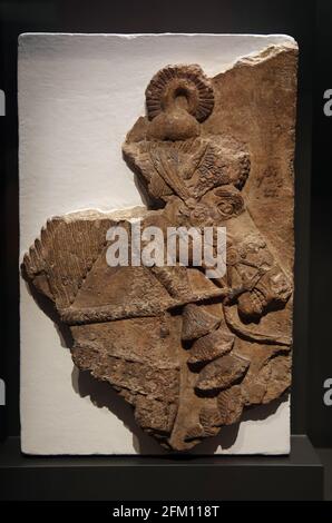 Angezeigt. Pferd. Entlastung. Dur-Sharrukin (Khorsabad). Neo-assyrische Zeit. Ca. 721-705 V. CHR. Gips. British Museum. London. Stockfoto