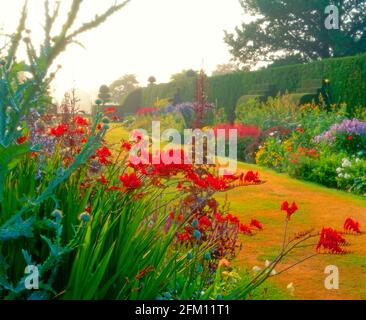 Großbritannien, England, cheshire, Arley Hall und Gärten, krautige Grenzdetails, Sommer Stockfoto