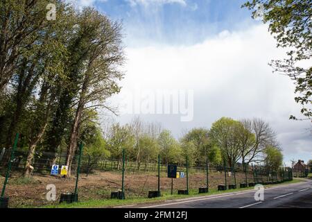 Wendover, Großbritannien. Mai 2021. Blick auf Bäume entlang der A413. Um Wendover in der Chilterns AONB werden zurzeit große Flächen von Bäumen und Vegetation freigeräumt, um die Hochgeschwindigkeitsstrecke HS2 vorzubereiten, wobei vor kurzem nach Einbruch der Dunkelheit einige Arbeiten durchgeführt werden. Aktivisten, die gegen HS2 sind, besetzen das Wendover Active Resistance Camp neben der A413. Kredit: Mark Kerrison/Alamy Live Nachrichten Stockfoto