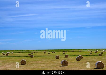 Runde Heuballen Shingle Street Suffolk England Stockfoto