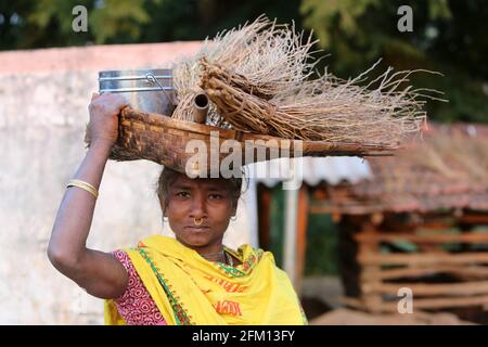 Stammesfrau, die im Dorf Korrakothavalasa, Araku, Andhra Pradesh, Indien, STAMM der KONDHU eine Winnowpfanne trägt Stockfoto