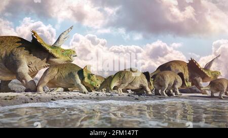 Triceratops horridus Familie, Gruppe von Dinosauriern in schöner Landschaft Stockfoto