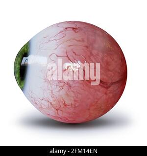 Menschlicher Augapfel mit grüner Iris, isoliert mit Schatten auf weißem Hintergrund Stockfoto
