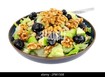 Waldorfsalat mit Walnüssen, Sellerie, Äpfeln und Trauben isoliert auf weißem Hintergrund Stockfoto