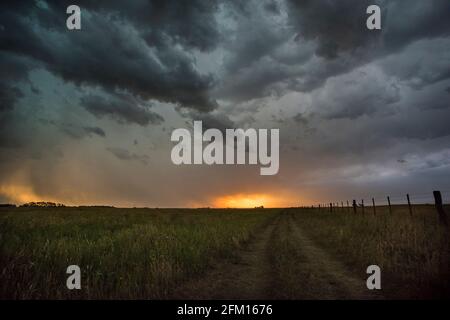 Stürmischer Himmel in der Landschaft von Pampas, Provinz La Pampa, Patagonien, Argentinien. Stockfoto