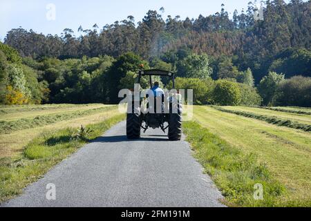 Szene eines alten Traktors von hinten gesehen auf einer Straße in einem ländlichen Gebiet. Galicien, Spanien Stockfoto