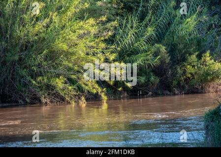 fondo , paisajes , naturaleza, calle, planeta tierra Stockfoto