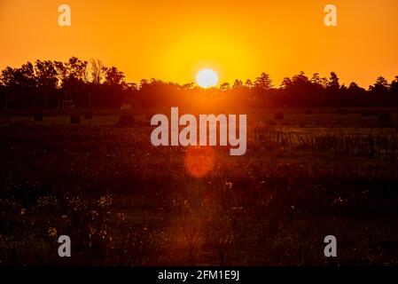 fondo , paisajes , naturaleza, calle, planeta tierra Stockfoto