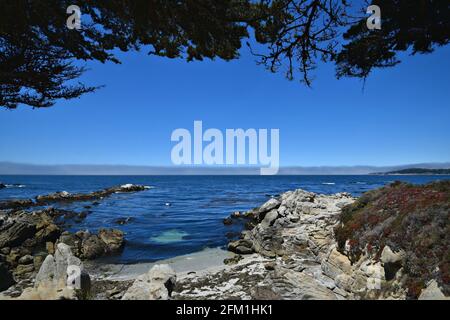 Landschaft mit Panoramablick auf die Küste von Carmel-by-the-Sea im Monterey County California, USA. Stockfoto