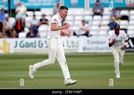 Henry Brookes aus Warwickshire feiert die Teilnahme am Wicket von Ryan ten Doeschate während der Specsavers County Championship von Essex CCC gegen Warwickshire CCC Stockfoto