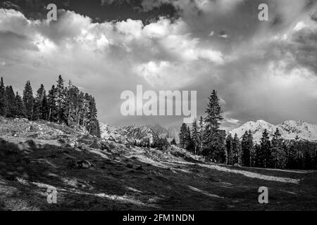 Graustufenaufnahme der Tiroler Alpen in Österreich Stockfoto