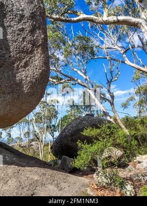 Balancing Rock 6 Meter hoher Granitfelsen auf dem Castle Rock Walk Trail Porongurup National Park Western Australia Stockfoto